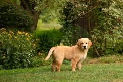 Charlotte-11