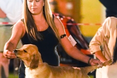 Charlotte-19
