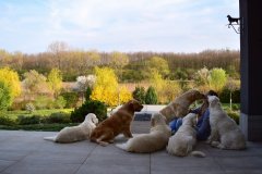 26-fotoalbum