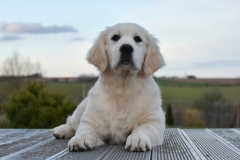 meggy5