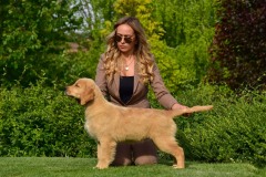 Roxy8