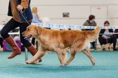 roxy_ba_bos_pohyb