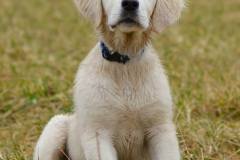 va28