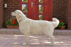 va35